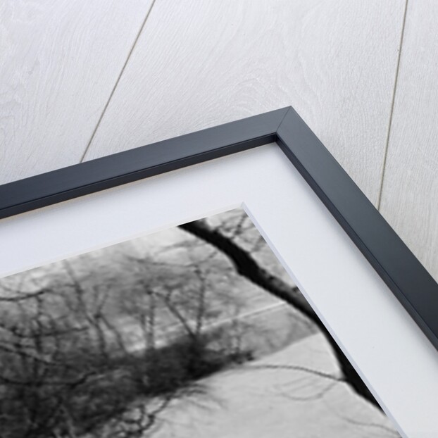 Central Park in Winter, c.1953-64 by Nat Herz