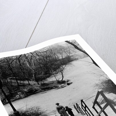 Central Park in Winter, c.1953-64 by Nat Herz