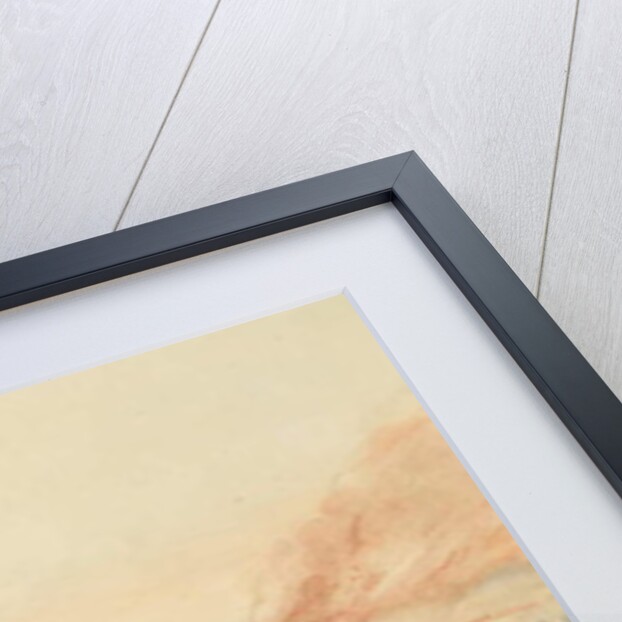 The Battle of Waterloo, 1815, c.1818 by William Heath