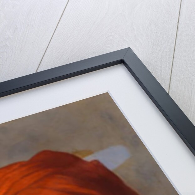 Ganda Singh, a Sikh chaprassee of Col Wilmer's topographical No.14 survey party, 1894 by Gertrude Ellen Burrard