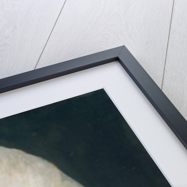 Chet Singh, a chaprassee of Field Marshal Lord Roberts, c.1890 by Lady Aileen Roberts