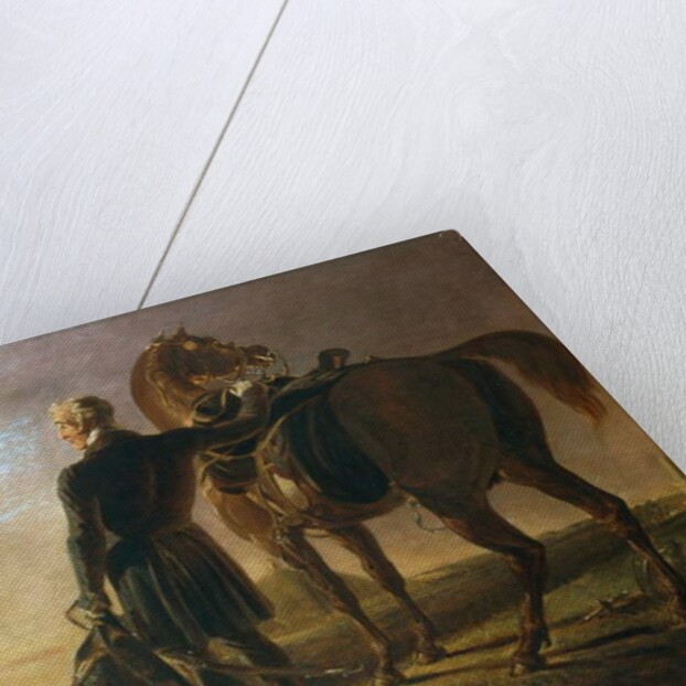 Field Marshal Sir Arthur Wellesley 1st Duke of Wellington, c.1840 by Benjamin Robert Haydon