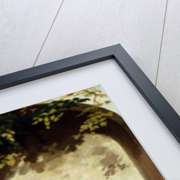 Indian Army Officers and Non-Commissioned Officers, 2nd Regiment of Cavalry, Punjab Frontier Force, c.1863 by Gordon Hayward