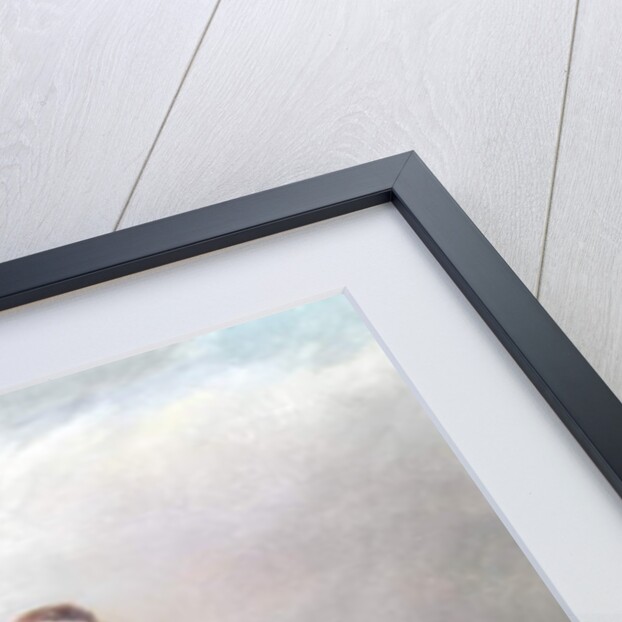 Lieutenant General Sir Thomas Bradford KCB, c.1825 by John (attr. to) Pardon