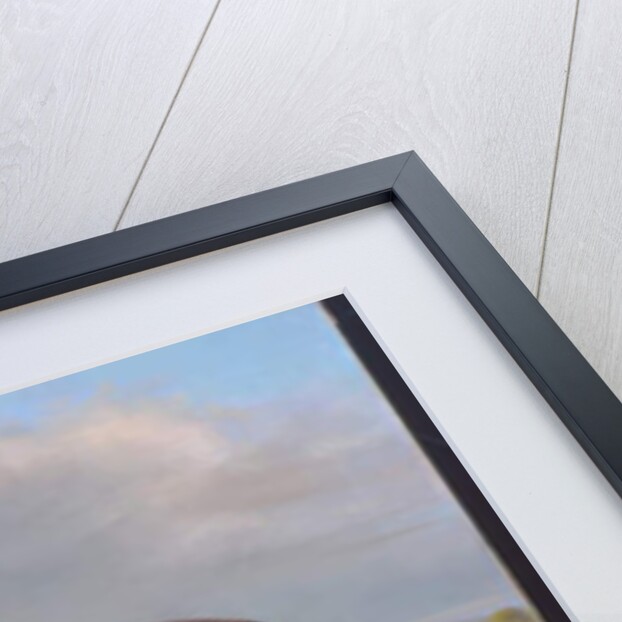 Major George Froom, 2nd Battalion, The Connaught Rangers, c.1881 by English School