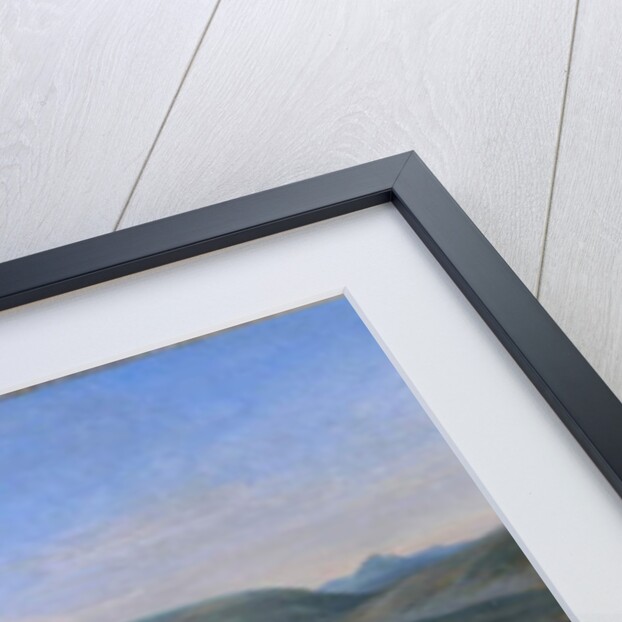 The Battle of the Boyne on 12th July 1690, 1690 by Jan Wyck