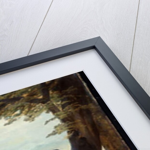 An unidentified officer of the 3rd Regiment of the Dragoon Guards, c.1850 by English School