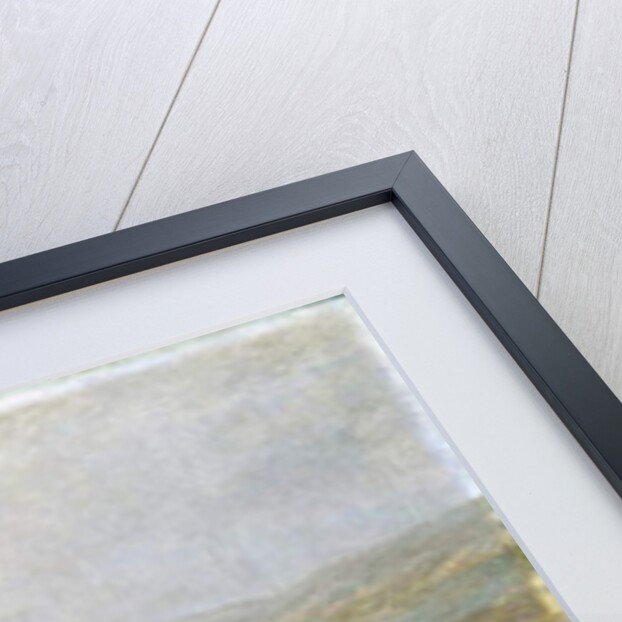 News, c.1910 by William Barnes Wollen