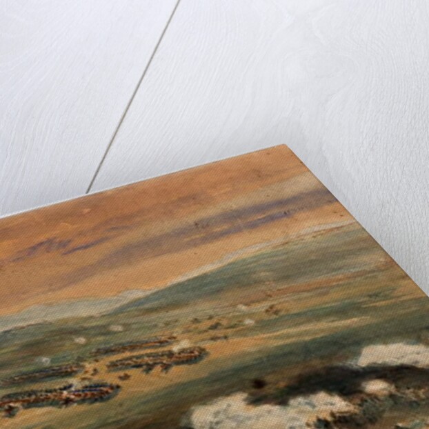 The Charge of the Light Brigade at the Battle of Balaklava, 1854 by William 'Crimea' Simpson