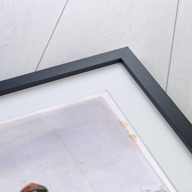 Portrait of General Clers, former commander of the Zouaves by George Cadogan