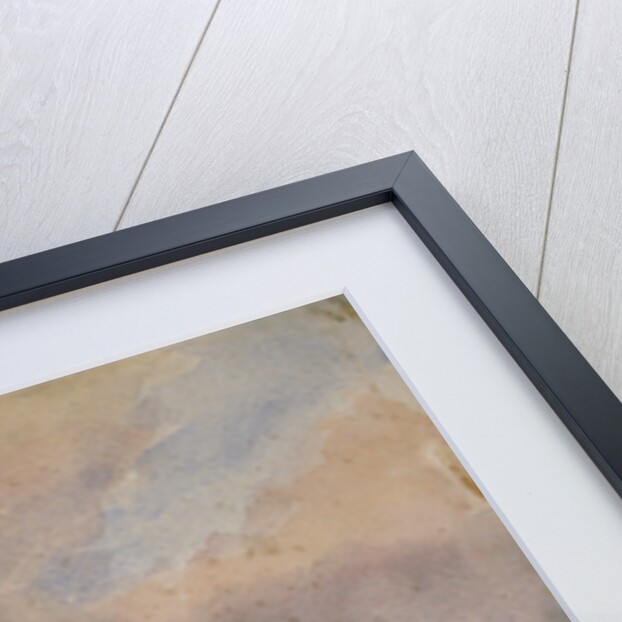 His Majesty the King Emperor, 1910 by Alfred Crowdy Lovett