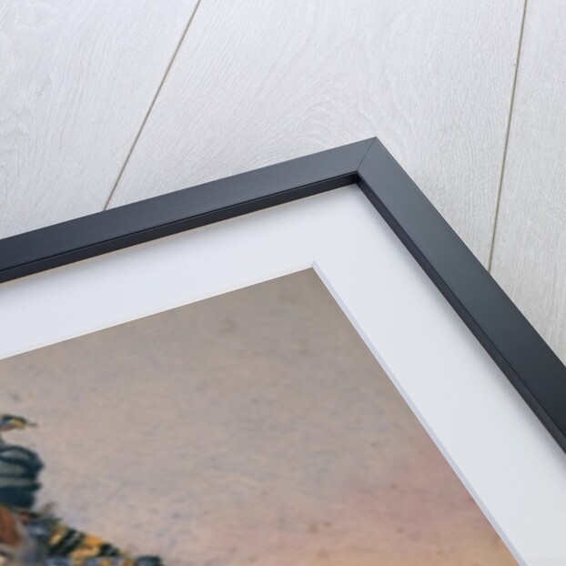 Honorary Native Commandment Nawab Sir Hafiz Muhammad Abdullah Khan, KCIE by Alfred Crowdy Lovett