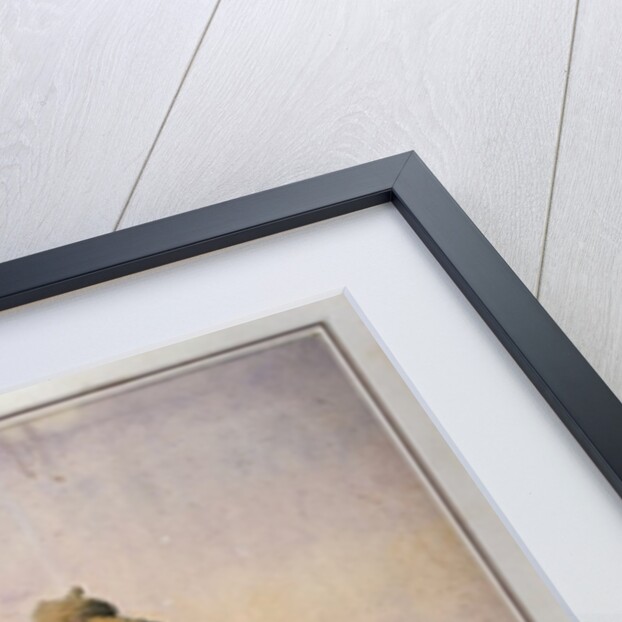 Soldier of the 31st Duke of Connaught's Own Lancer, Daffadar, Dekhani Mahratta by Alfred Crowdy Lovett