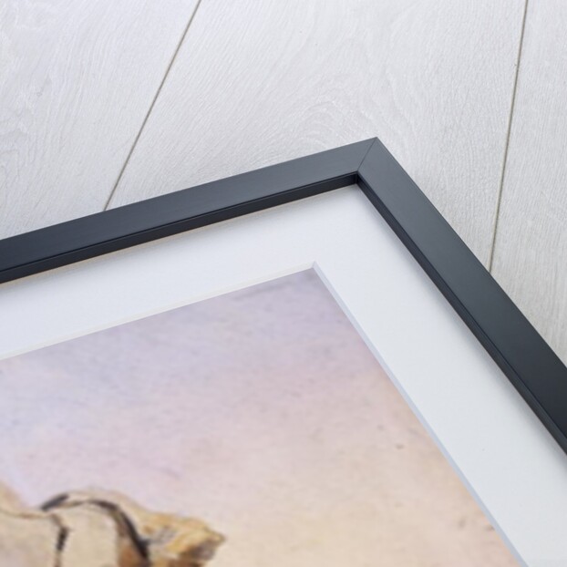 Soldier of the 26th Punjabis Malikdin Khel by Alfred Crowdy Lovett