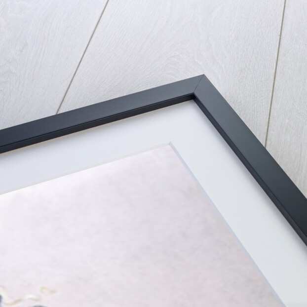 Soldiers of the Mysore Transport Corps by Alfred Crowdy Lovett