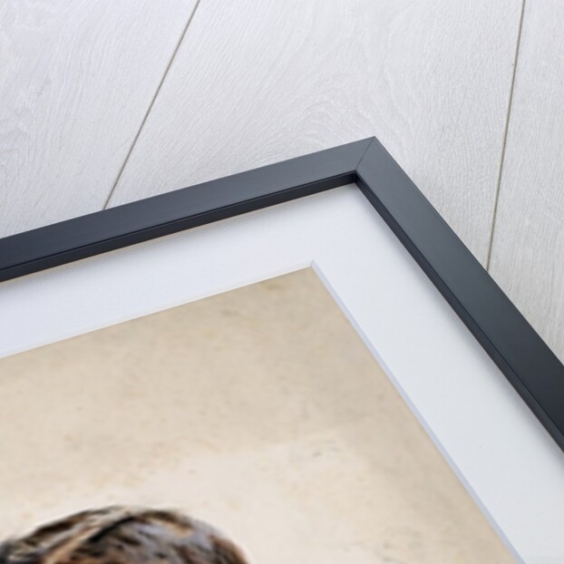 Major A. Martin-Leake, VC, 1902 by Alfred Crowdy Lovett