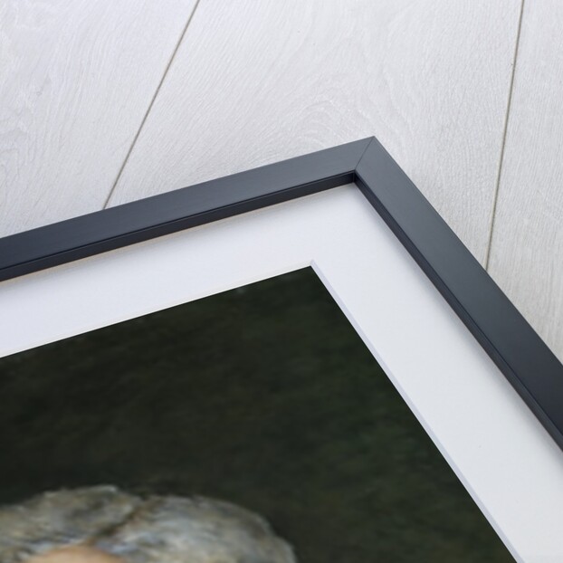 Colonel Hugh Shaw VC CB, Royal Irish Regiment, 1885 by English School