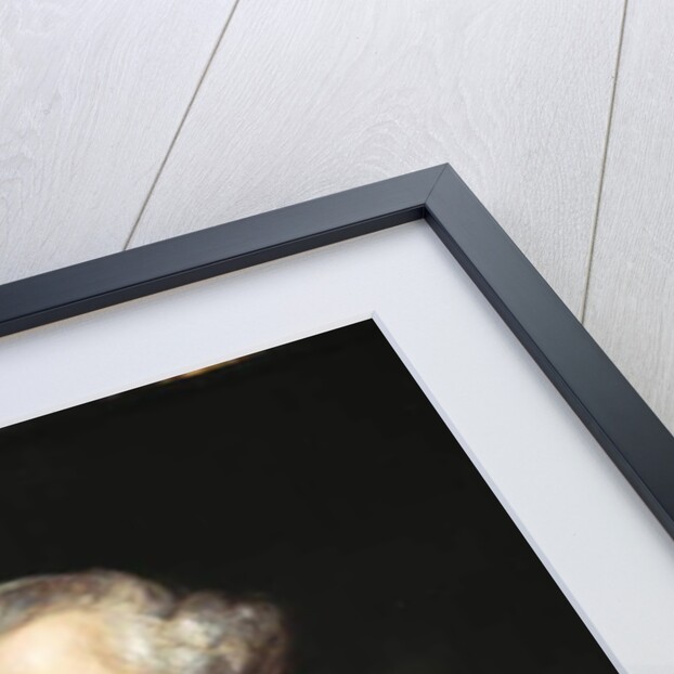 Lieutenant-General George Howard, 1808 by James Northcote