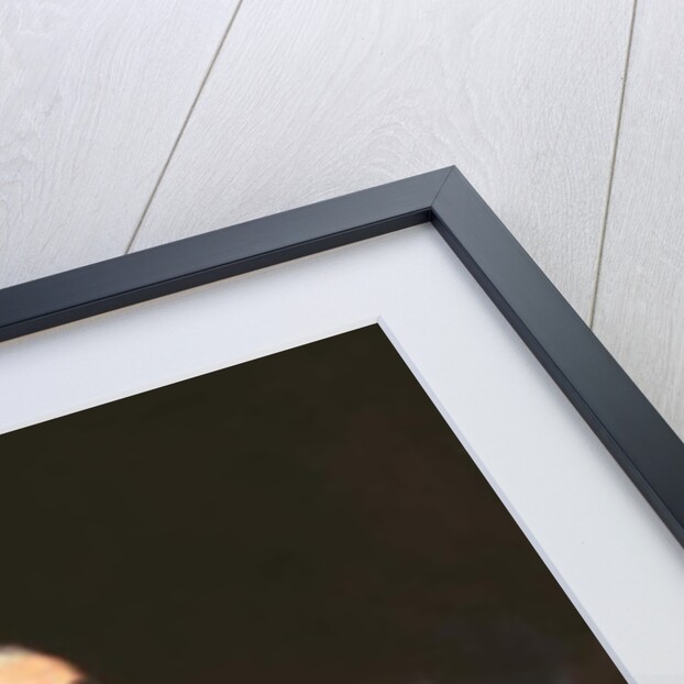 Lieutenant-General Thomas Scott, Army Staff, 1817 by William Nicholson