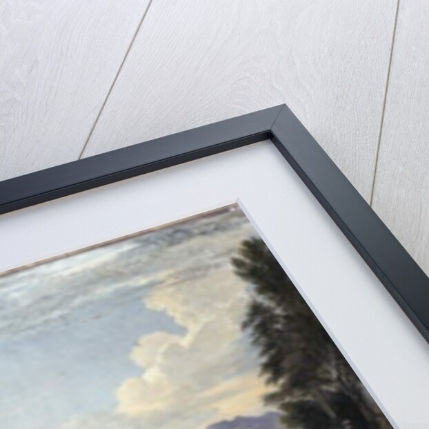 King William III and his army at the Siege of Namur, 1695 by Jan Wyck