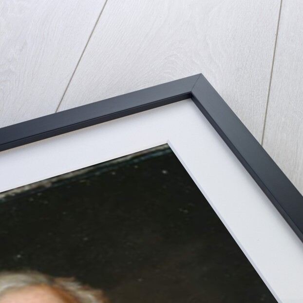 Field Marshal Arthur Wellesley, 1st Duke of Wellington, 1820 circa by Thomas (after) Lawrence