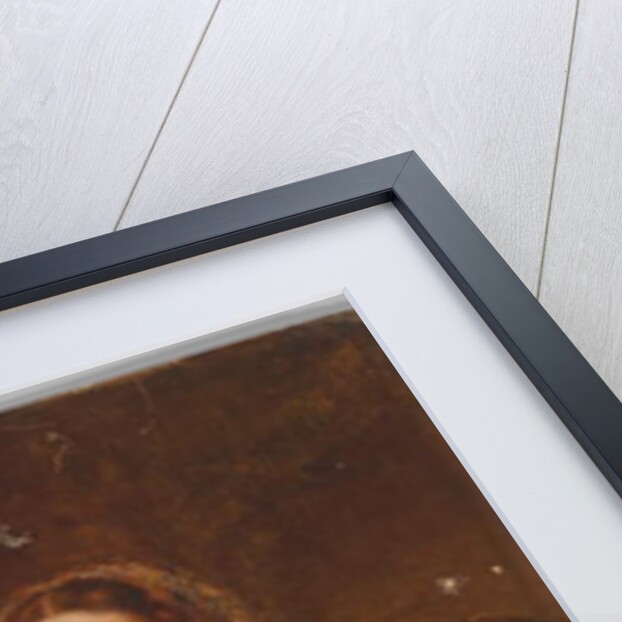 Lady Gough, wearing the Maharajpoor Star, one of four ladies who received this decoration for being present at the battle on 29 December 1843 by Unknown Artist