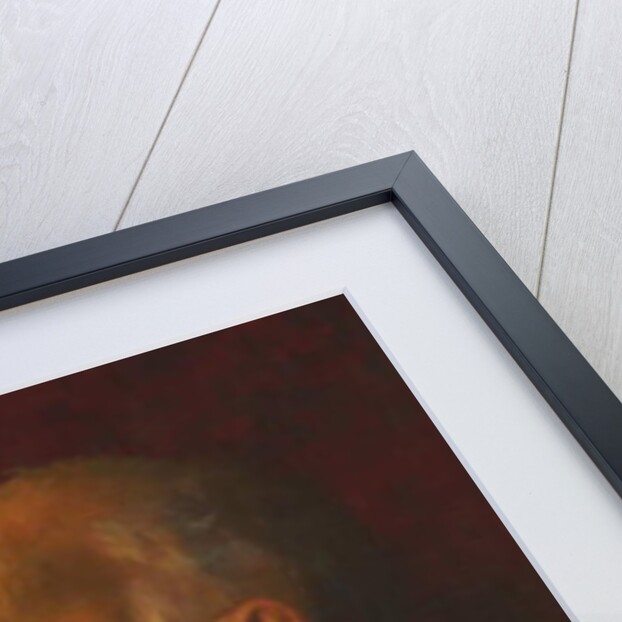 General Sir Alexander Taylor GCB, Royal Engineers, 1878 circa by Unknown Artist