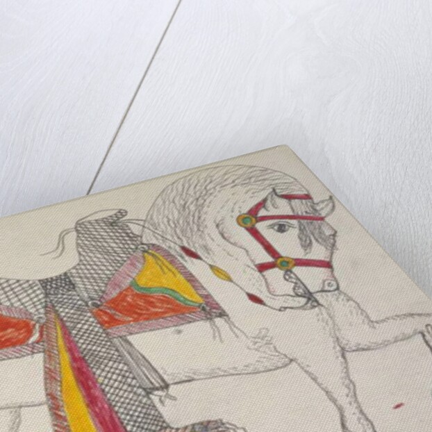 White horse with accoutrements by Frederick Gokliz