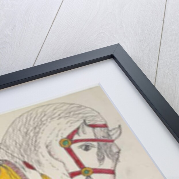 White horse with accoutrements by Frederick Gokliz