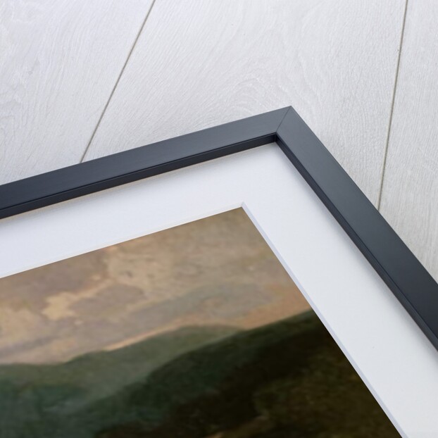 The Waterfall by John Sell Cotman