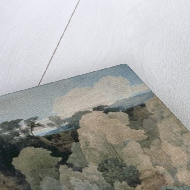 Devil's Elbow, Rokeby Park, c.1806-7 by John Sell Cotman