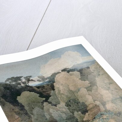 Devil's Elbow, Rokeby Park, c.1806-7 by John Sell Cotman