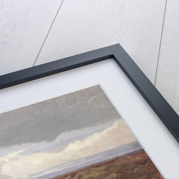 Mousehold Heath, Norwich, c.1810 by John Sell Cotman