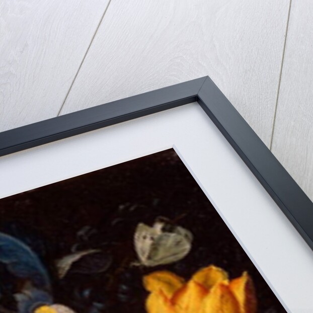 Floral Study with Insects by Andries