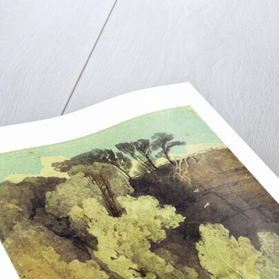 On the River Greta, Yorkshire by John Sell Cotman