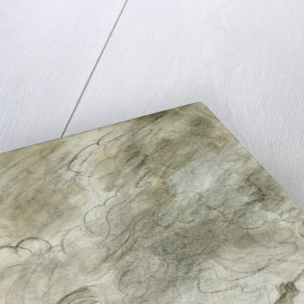 Black Grapes by James Sillett