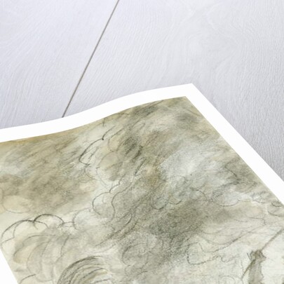 Black Grapes by James Sillett