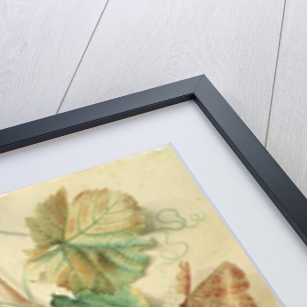 White Grapes by James Sillett