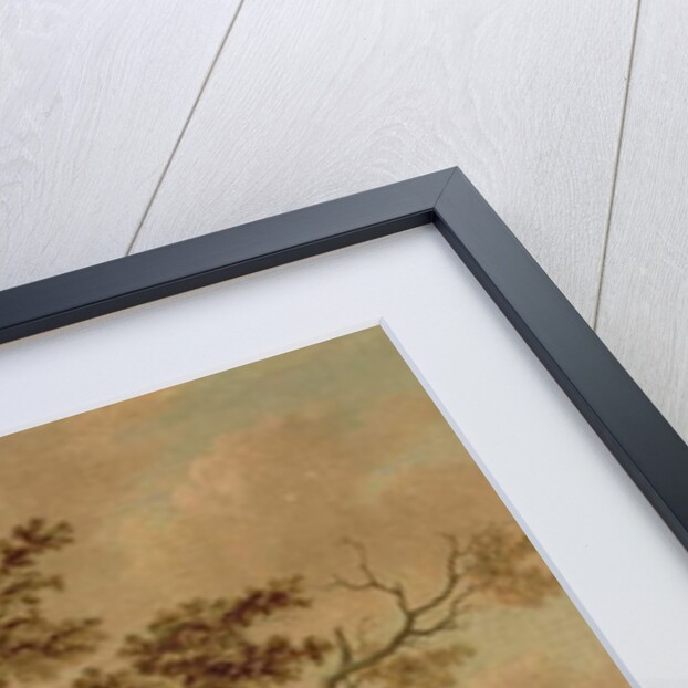 A Village Fair with a Mummer, 1702 by Salomon Rombouts