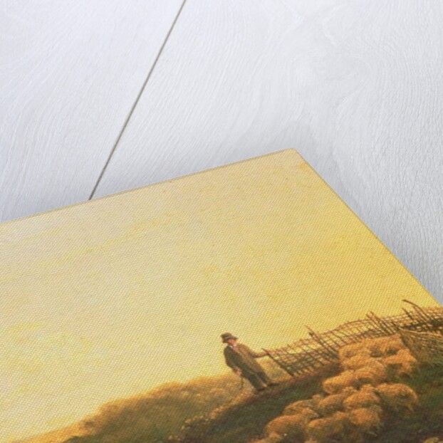 Penning the Flock by James Stark