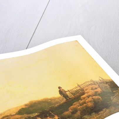 Penning the Flock by James Stark