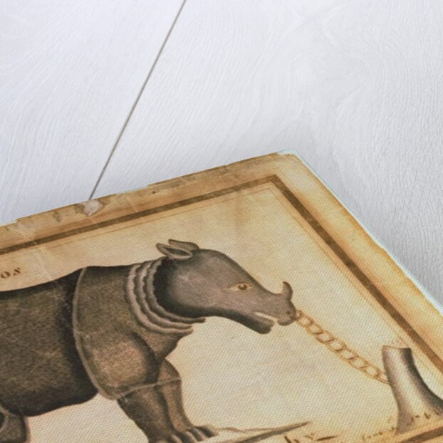 Rhinoceros, drawn and wrote by William Twiddy who never had the use of hands or feet by William Twiddy