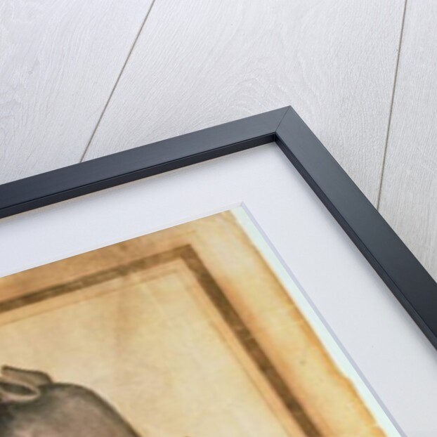 Rhinoceros, drawn and wrote by William Twiddy who never had the use of hands or feet by William Twiddy