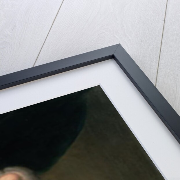 Portrait of Sir Robert Walpole Earl of Orford, 1743 by John Theodore Heins