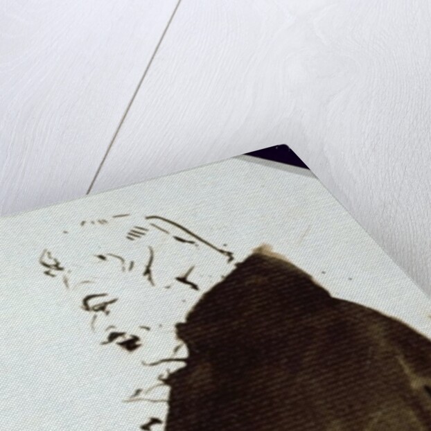 Sydney Smith c.1821 by Edwin Landseer