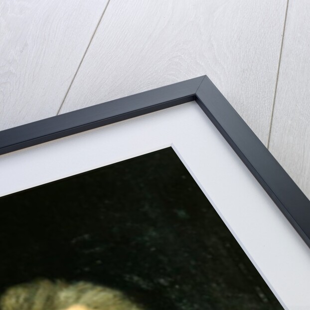 William Crowe by English School