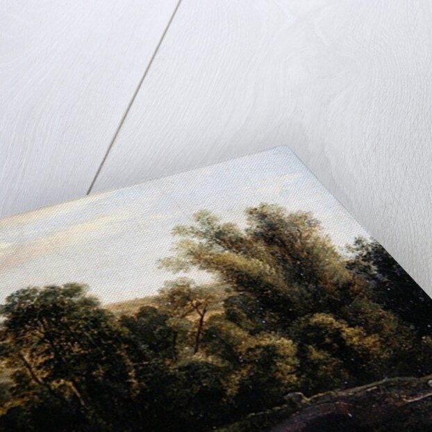 Untitled by Jacob Isaaksz. or Isaacksz. van Ruisdael