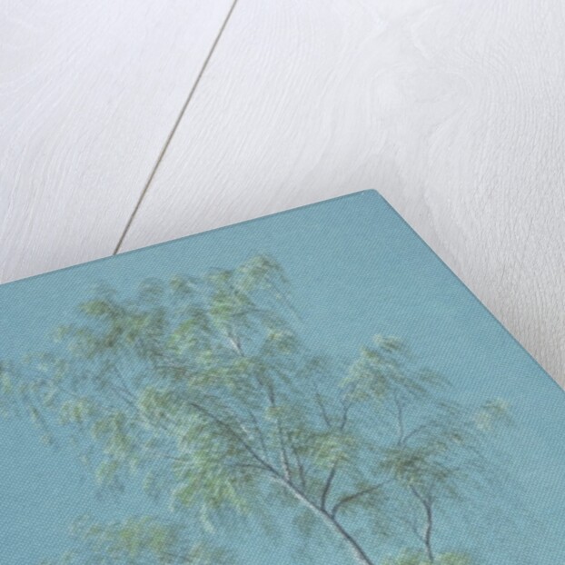 Birch tree by William Turner