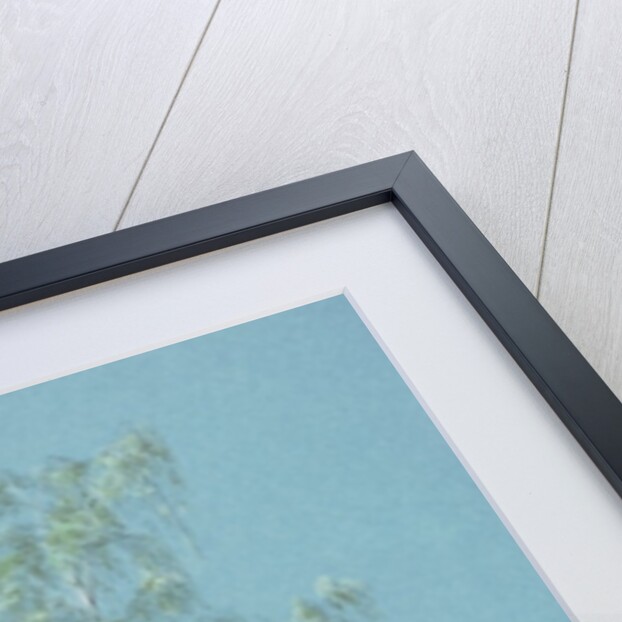 Birch tree by William Turner