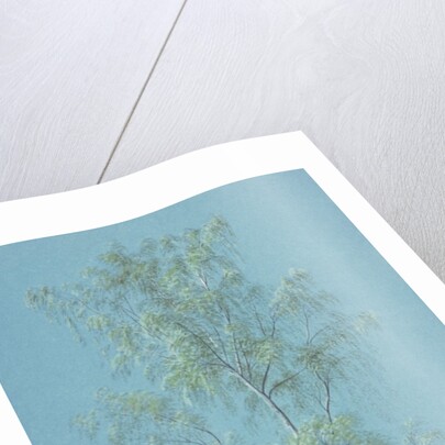 Birch tree by William Turner